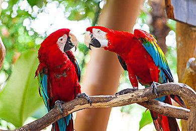 《蓝色协议》重生作《星痕共鸣》仍锁日本区 玩家忧虑再起